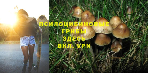 ALPHA-PVP Верея